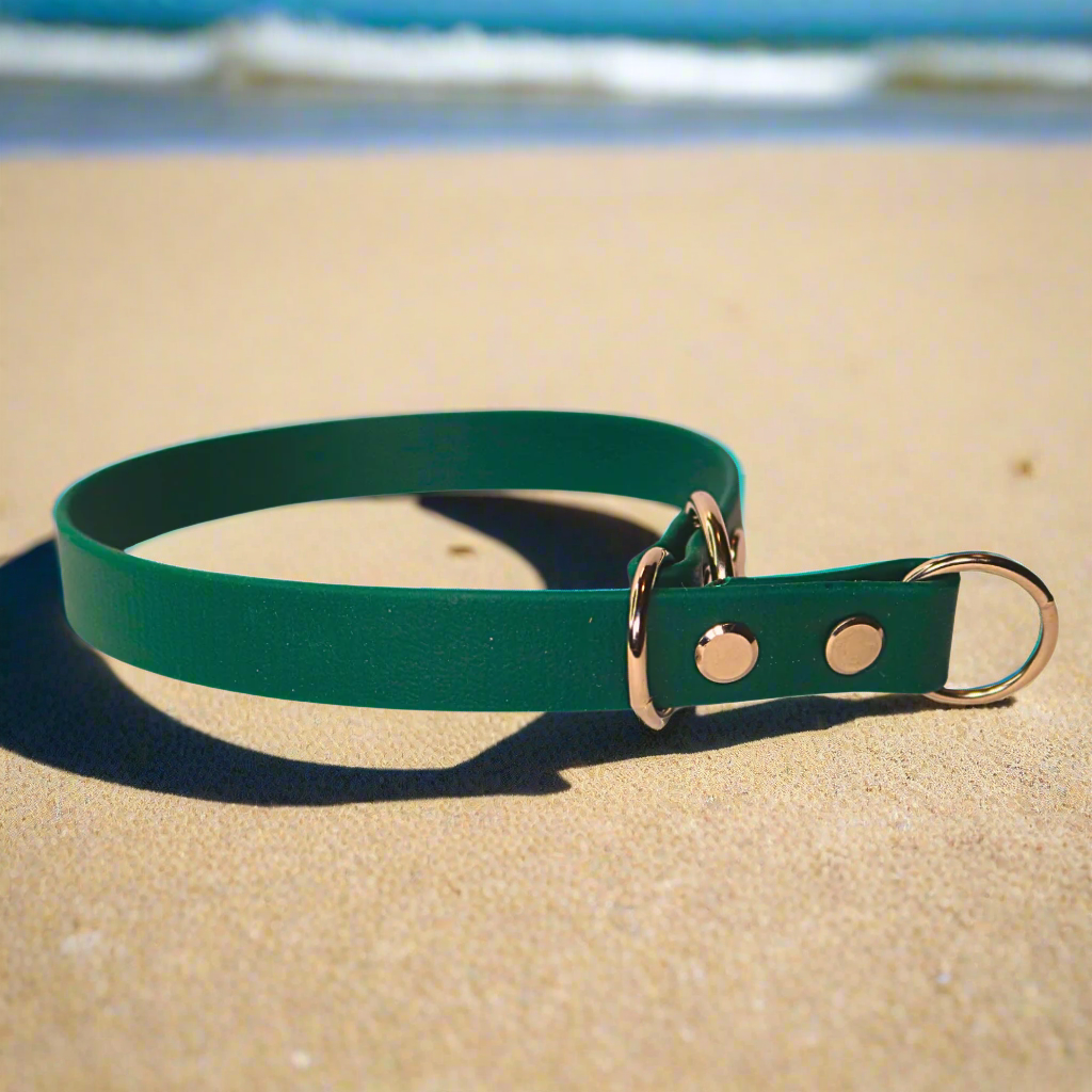Waterproof Slip Dog Collar Hunter