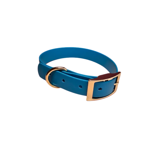 Blue waterproof dog collar