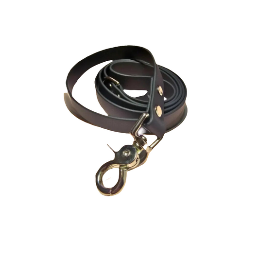 Orca waterproof dog leash