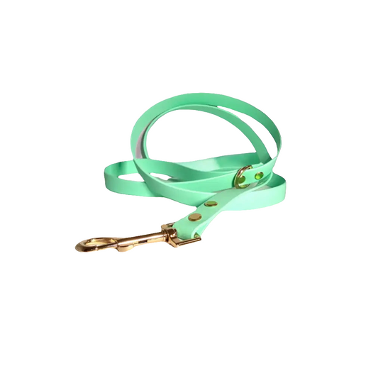 Tiffany Waterproof dog leash