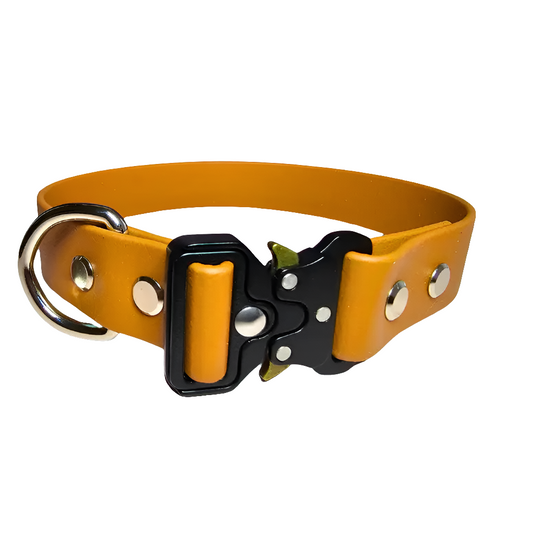 burnt orange water proof fixed quick release dog collar