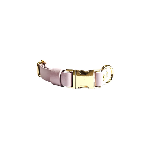 Waterproof Lavender Adjustable Dog Collar