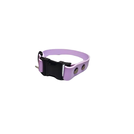 Lavender Quick Release Fixed Dog Collar