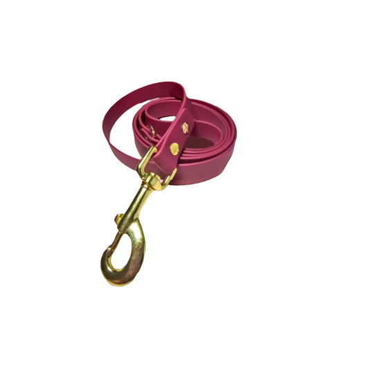 Wine Red waterproof dog leash