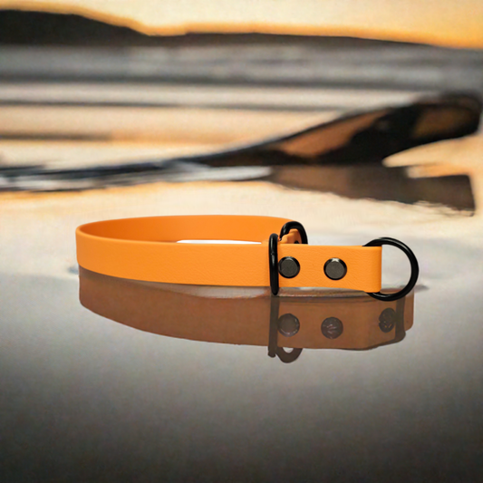 The Ultimate Peach Biothane Slip Collar for Water-Resistant, Odor-Proof, and Easy-to-Clean Comfort!"