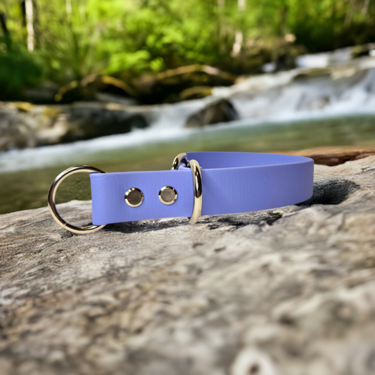 "Ultimate Adventure Companion: The Slip Collar Periwinkle Biothane - Your Pet's Water-Resistant, Easy-to-Clean, and Durable Co-Pilot!"