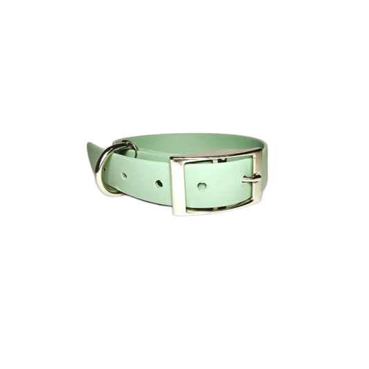 BioThane® Waterproof Collar - Sage - Dog Collar