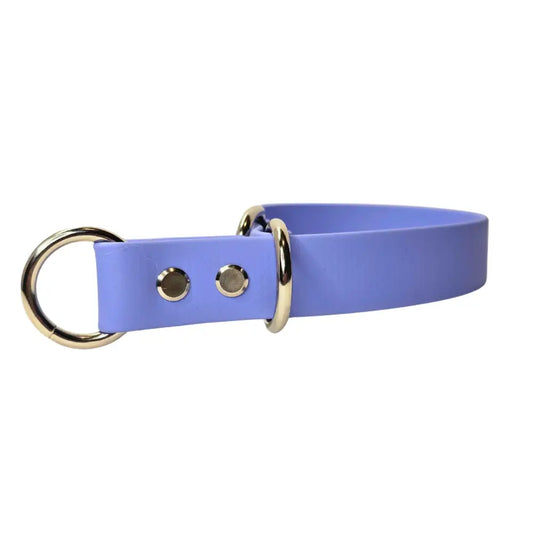 BioThane® Waterproof Slip Collar - Periwinkle - Bundle