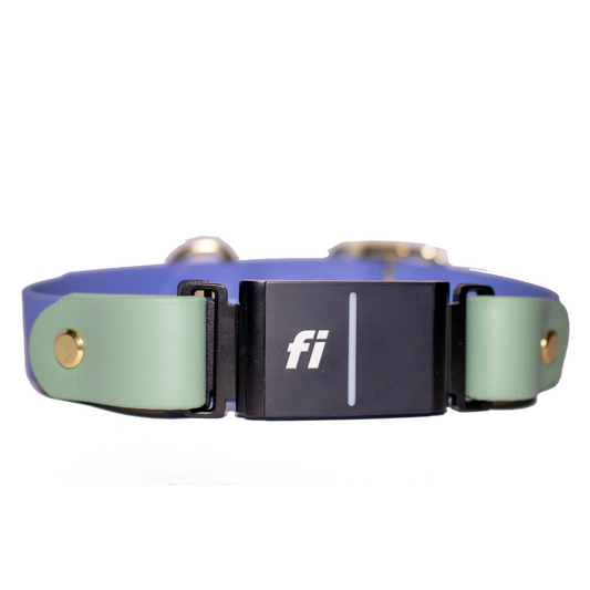 biothane_waterproof_fi_tryfi_dog_collar