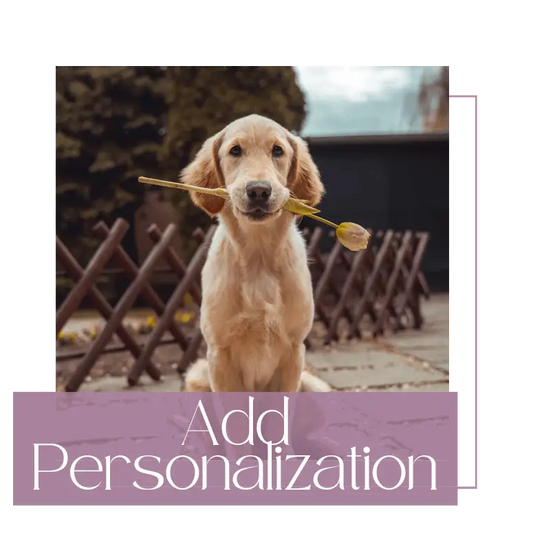 Collar & Leash Personalization