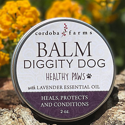 Balm Diggity Dog | Paw Protection