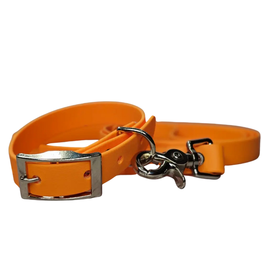 Waterproof BioThane® Dog Flat Collar and Leash Set Peach - Bundle