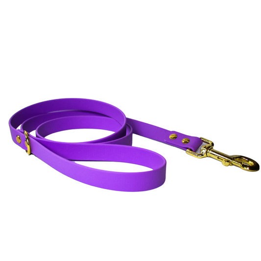 wisteria purple waterproof dog leash